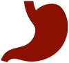 digestive image