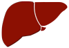 liver image